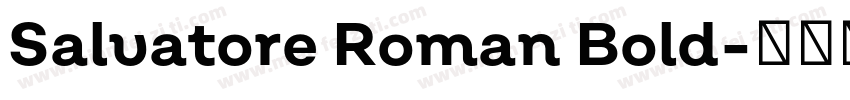 Salvatore Roman Bold字体转换